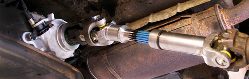 [Obrazek: lancuszek-cardano0.jpg]