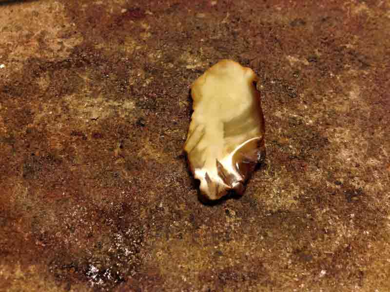 [Obrazek: nordwind-bursztyn1.jpg]